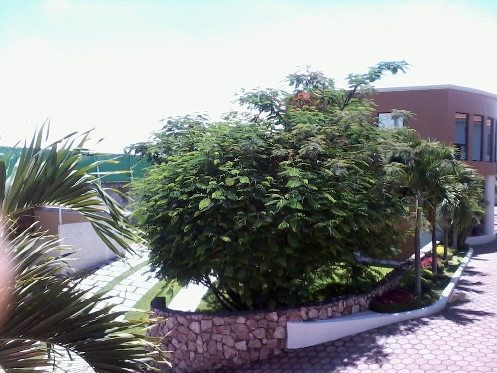 Hotel - Motel Pasion Yecapixtla Exterior foto